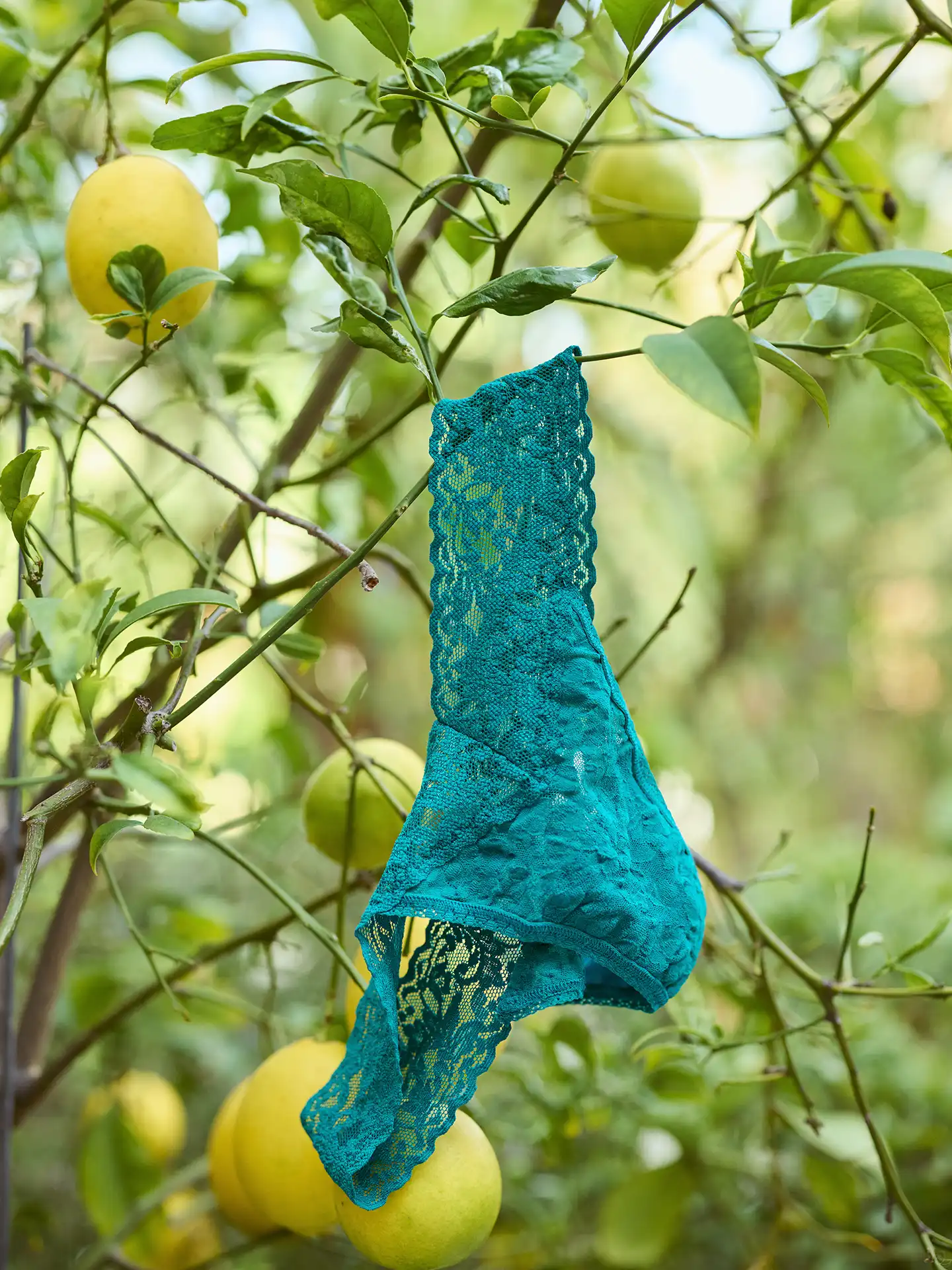 HANKY PANKY Original Rise String